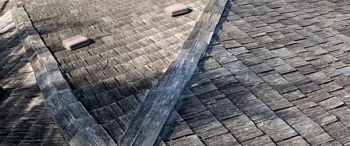 Photo of moss on composite asphalt roof